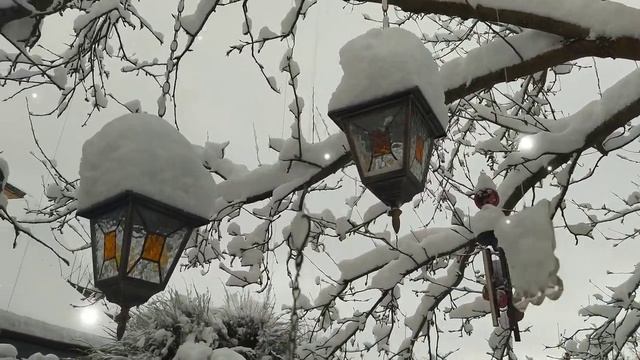 Зимушка -зима. Сказочный зимний сад.