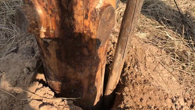 Вечный забор из дерева. Соседи не пройдут! Изоляция продолжается. Обработка деревянных столбов. смотреть онлайн