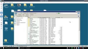 remmina rdp file transfer