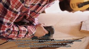 Вредно ли ковыряться в носу?