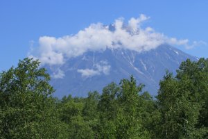 Камчатка. Июль 2013 год