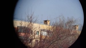 Тест бинокля bushnell powerview 8x21