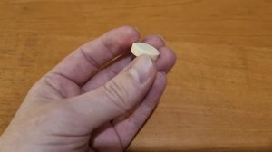 Легальный способ наловить очень много рыбы. Таблетка для рыбалки