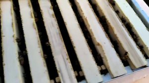 когда нужно ставить дополнительные магазины для пчёл