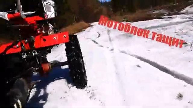 Мотоблок тащет (ПЕРВОЕ ВИДЕО)