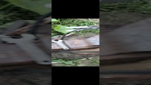 проверочное видео
