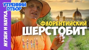 Как живет флорентийский шерстобит. Тимофей Левченко.