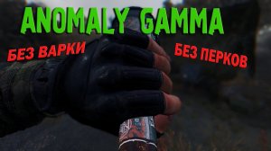GAMMA МОЕЙ МЕЧТЫ ► S.T.A.L.K.E.R. ANOMALY GAMMA 0.9.1 (2024)