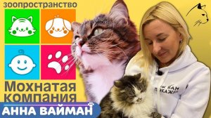 Котокафе Мохнатая компания | 15 лет фонду Зоозащита в Екатеринбурге | приют для бездомных животных
