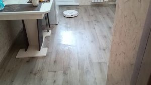 Работает робот Roborock Q7 Max
