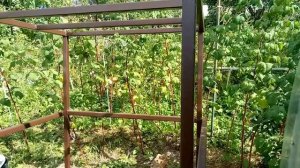 Cтойка (подставка) для еврокуба под капельный полив часть №1. Полив33.рф