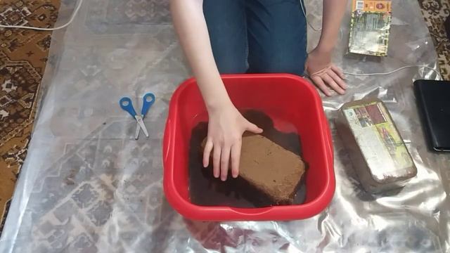 Как разводить кокосовый субстрат? смотреть онлайн