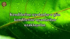 Сура Бак'ара. Ислам Субх'и