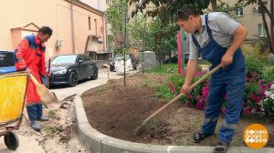 Хочешь красивый двор - сделай сам. Доброе утро. Фрагмент выпуска от 11.08.2023