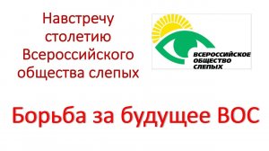 Навстречу столетию Всероссийского общества слепых. Борьба за будущее ВОС