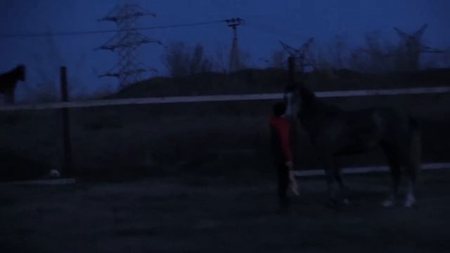 апрель железного дровосека смотреть онлайн