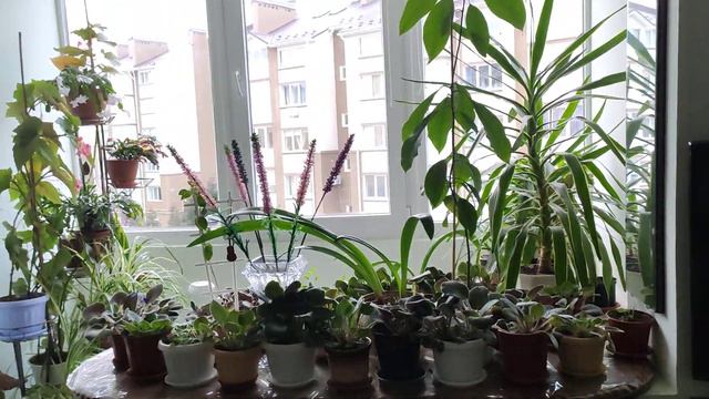 ГЗМ NUMARK на Арктур-006-стерео відтворює пісню Bad Boys Blue "Люди ночі". смотреть онлайн