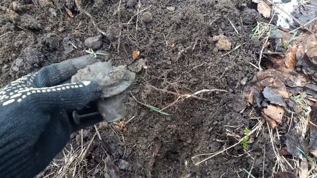 СЕРЕБРЯНЫЕ МОНЕТЫ 1600 1700 года НАГРАДЫ ЗНАЧКИ МОНЕТЫ смотреть онлайн