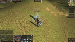 Lineage 2 High Five x1 Истребляю монстров на верхнем этаже волшебной долины - Прохождение Часть 87