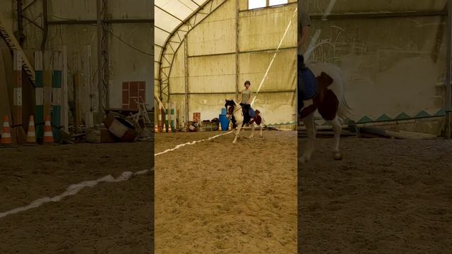 Тренировка Алена и Лунтик. Две жерди кавалетти