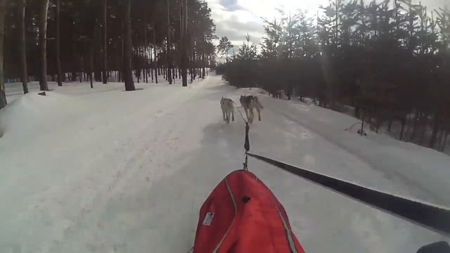 Зимняя сказка 2017 Форд Трактор СЕС1 смотреть онлайн