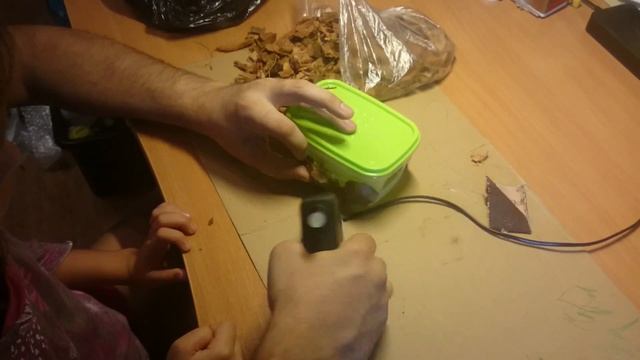 Как сделать влажную камеру для эублефара своими руками смотреть онлайн