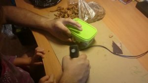 Как сделать влажную камеру для эублефара своими руками