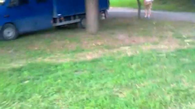 Парк Дендрарий в Кишиневе. Пикник Letto. 03.08.13 смотреть онлайн