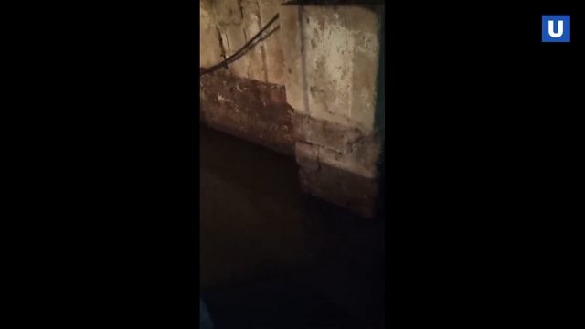 Затопление подвала на Окунева, 17 (Нижний Тагил) смотреть онлайн