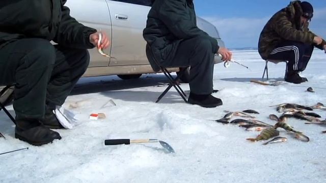 РЫБАЛКА НА БРАТСКОМ МОРЕ смотреть онлайн