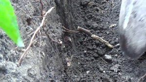 ЭТО Устройство Работает ЛУЧШЕ Металлоискателя