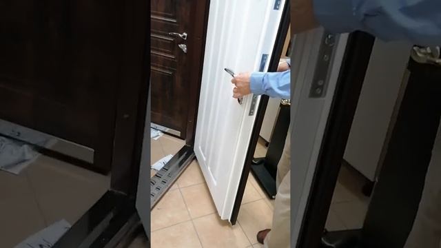 металлические двери, выбор и обзор смотреть онлайн