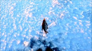 Мормышки для зимней рыбалки,какие выбрать,вольфрам или свинец.