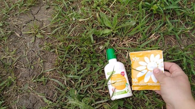 СЕВЕРЯНЕ ЭТО ДЛЯ Вас! Этот препарат стоит 60 рублей, но результат МОРЕ БУТОНОВ! ОТВЕТЫ ПОДПИСЧИКАМ! смотреть онлайн