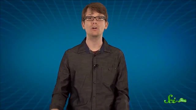 3 Животных, которые намного умнее, чем вы думали! смотреть онлайн