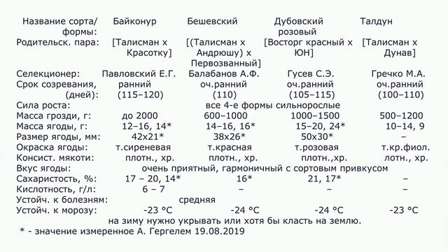 @Какой виноград посадить в 2020, Талдун или Дубовский розовый смотреть онлайн