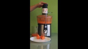 Соковыжималка Moulinex JU550