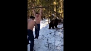 Путинские Медведи.