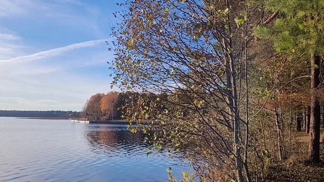 Всё в золоте смотреть онлайн