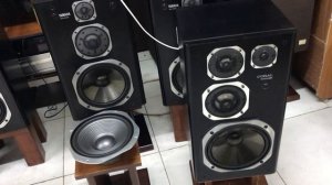 Coral dx-1000x или Yamaha ns-eleven Нам нужен розыгрыш?
