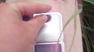 жимолость югана