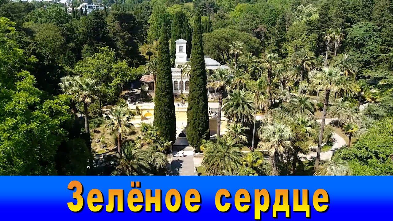 "Наш Сочи" выпуск 41