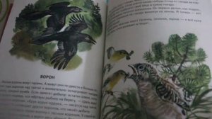 Детские книги."Первое солнышко" Издательство Речь