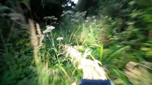 узкоколейная дрезина, поездка по заброшенной узкоколейке, ужд.