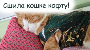 СШИЛА кошке кофту! Рассказываю