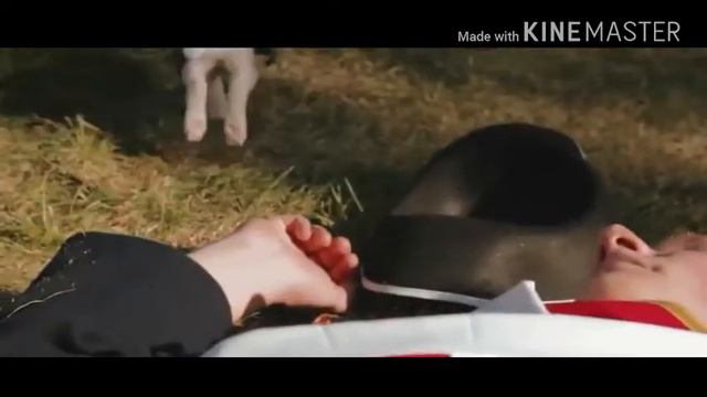 Котята ассасины реакция