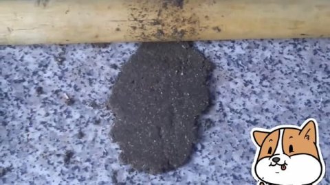 5 ЛАЙФХАКОВ для ГРЫЗУНОВ