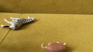 Саванна/животные Африки 🐍🐊🦩🦜🦚🐅🐆🦓🐪