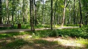 О поездке в Звенигород. Прогулка в парке