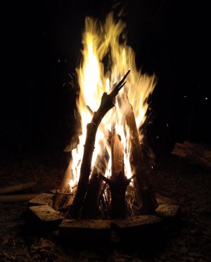 Вуду церемония 2016 год.mp4